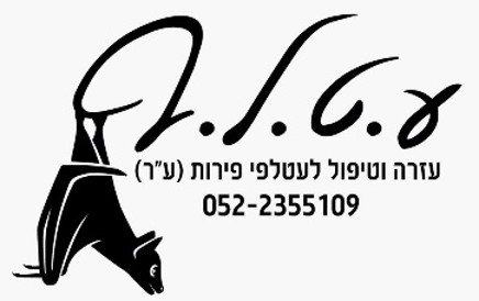 עזרה וטיפול לעטלפי פירות