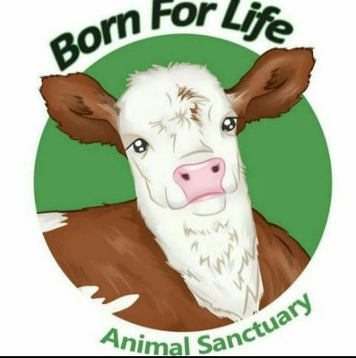 Born For Life Animal Sanctuary