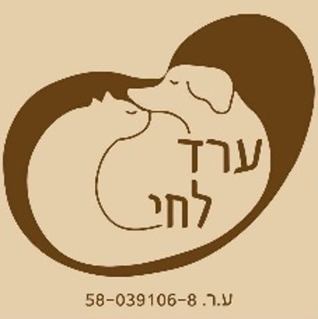 עוד לחי